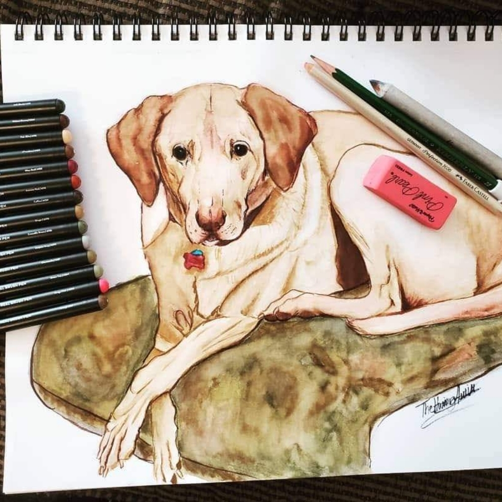 Personal Pet Portraits